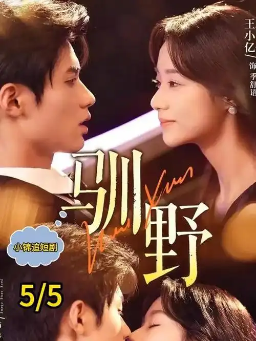十年后的那通电话 短剧海报